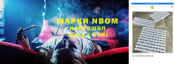 гидра Михайловка