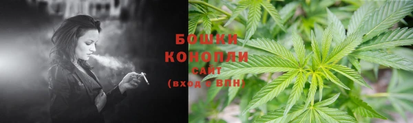 гидра Михайловка
