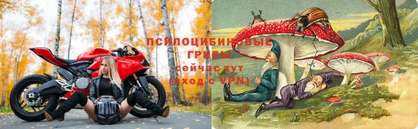 трава Михайлов