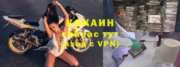 гидра Михайловка