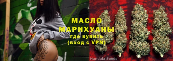гидра Михайловка