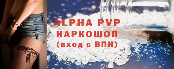 гидра Михайловка
