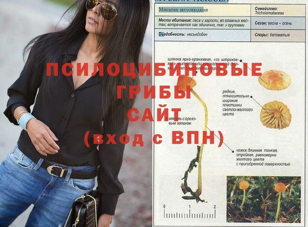 mix Михайловск