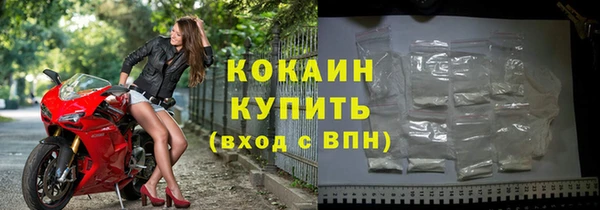 гидра Михайловка